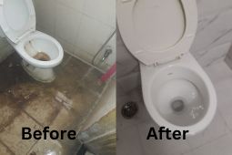 Mahalaxmi Toilet Cleaning Services