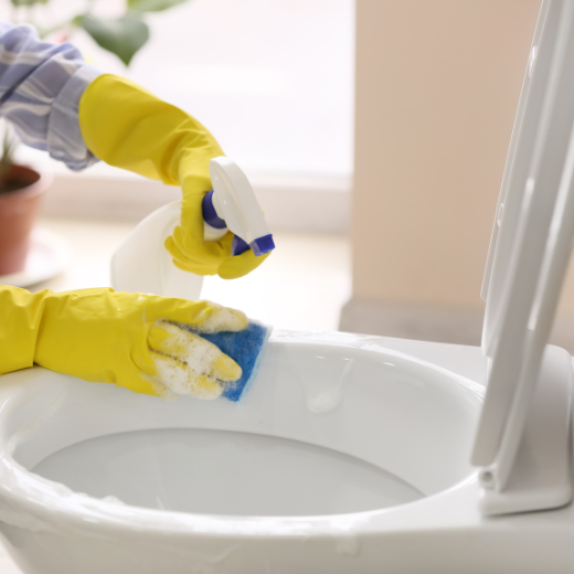 Bathroom cleaning services