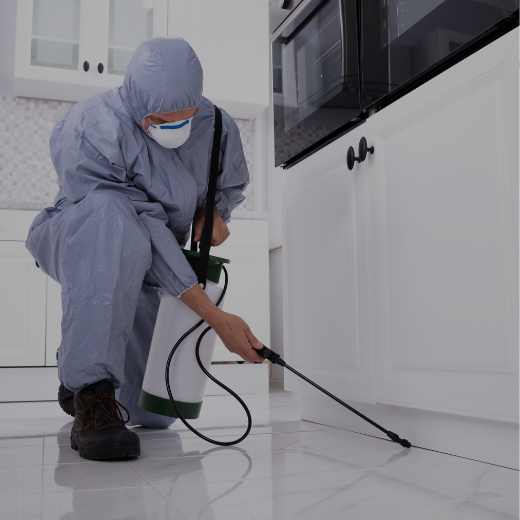 pest control services